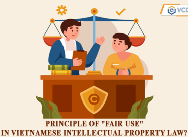 Principle of “fair use” in Vietnamese intellectual property law?