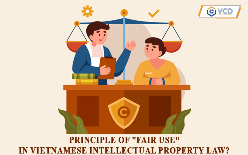 Principle of “fair use” in Vietnamese intellectual property law?