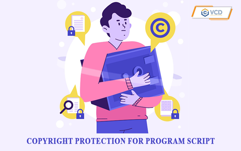 Copyright protection for program script