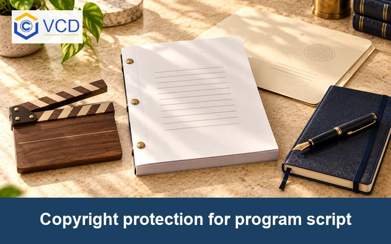 Copyright protection for program script