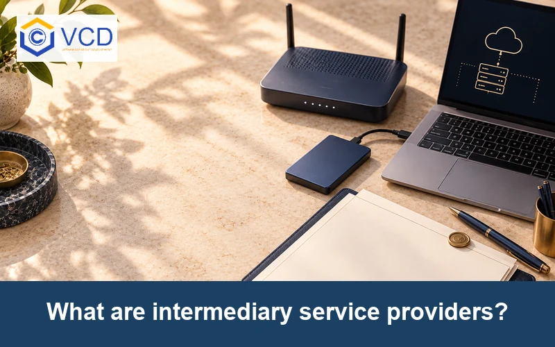 What are intermediary service providers?
